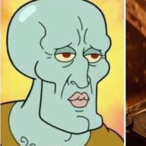 Meet your Posher, Beau